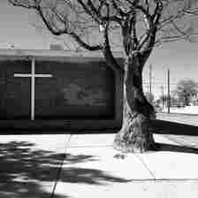 A large, gnarled tree stands in front of a brick wall with a white cross mounted on it. The ground is a mix of pavement and shadows from the tree's branches. Power lines and a few small buildings are visible in the background under a clear sky.
