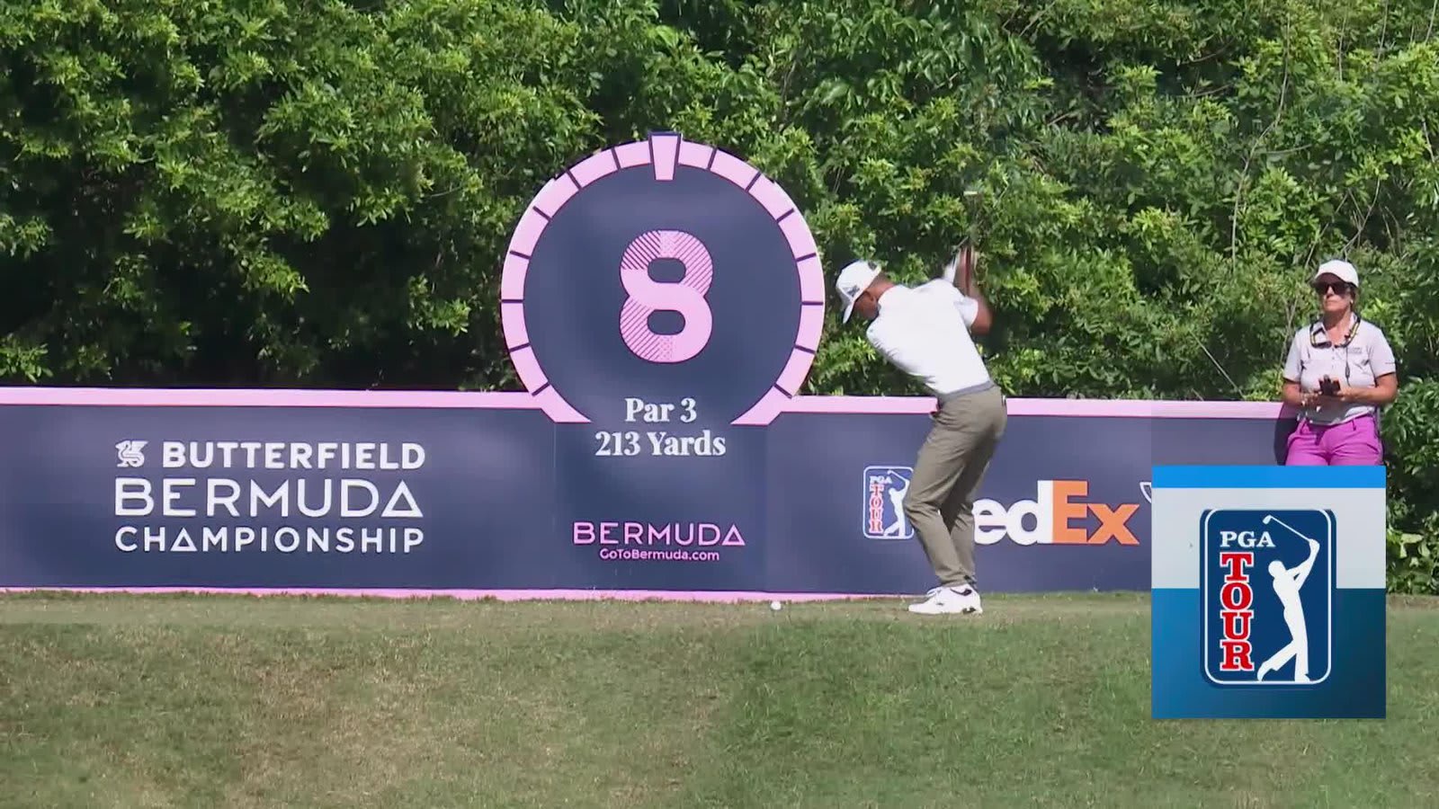 Eric Cole hits tee shot to 4 feet, sets up birdie on No. 8 at Butterfield Bermuda