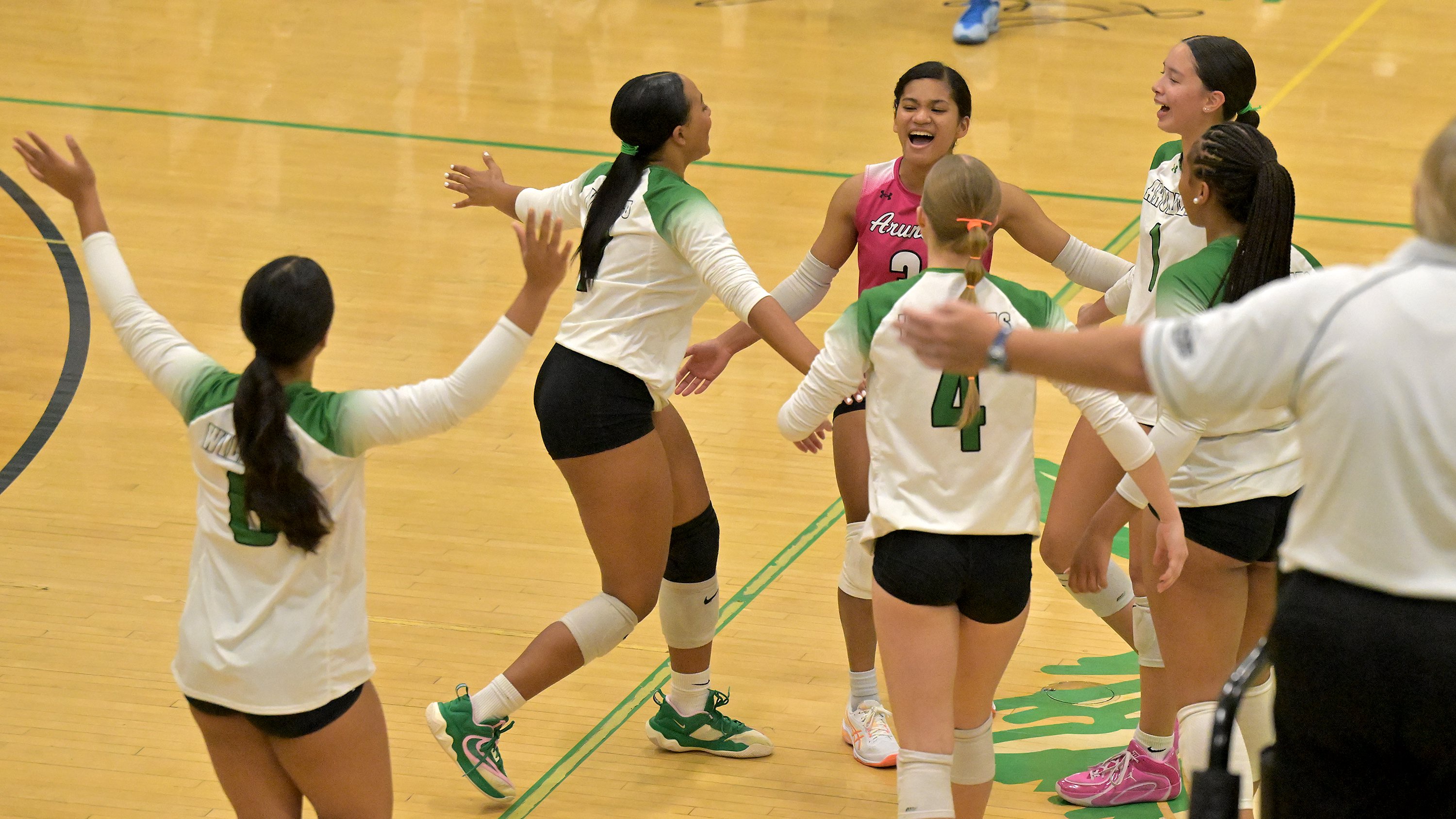 Arundel Wildcats celebrate winning the second set. The Arundel Wildcats defeated the visiting Crofton Cardinals in three sets in their high school volleyball match Tuesday evening. (Paul W. Gillespie/Staff)
