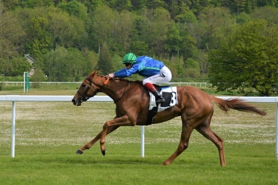 Des courses hippiques sont prévues ce dimanche 16 août 2026 à l'hippodrome de La Chaussée, au Pertre (Ille-et-Vilaine).