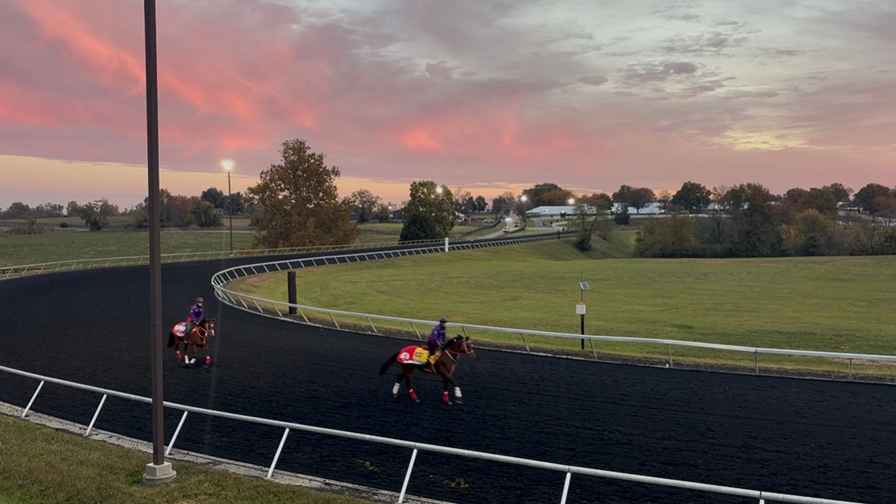 Forever Young on the training track