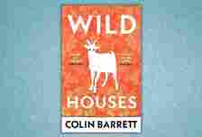 cover Book Review: Wild Houses by Colin Barrett