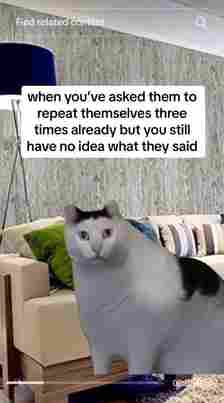 huh cat with caption 'when you've asked them to repeat themselves three times already but you still have no idea what they said'