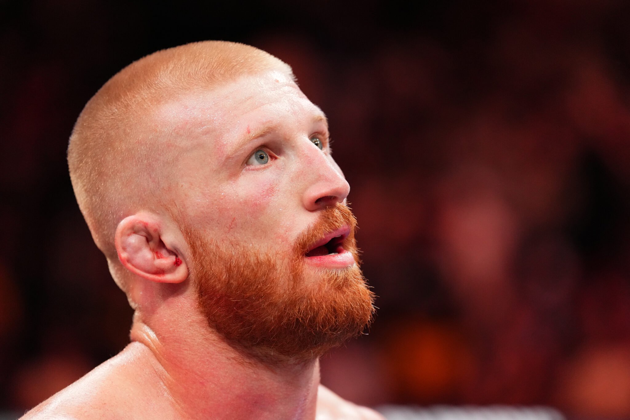 Photo by Josh Hedges/Zuffa LLC