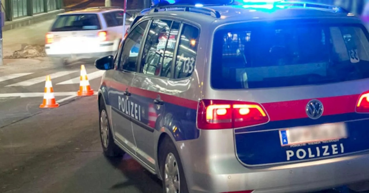Einbrecher flüchtet mit Tresor vor Wiener Polizei