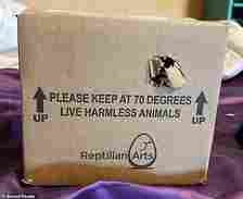Meanwhile someone randomly received a package which said 'live harmless animals' on the box and a hole punctured to allow air in