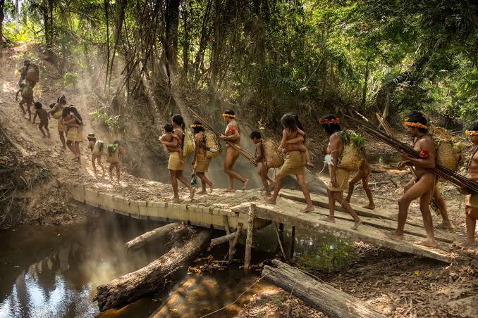 The Amazon Forest uncontacted tribe