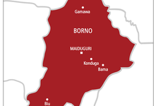 Mutun 6 Sun Mutu Harin Ƙunar Ɓakin Wake a Borno