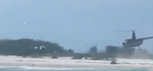 Florida helicopter pilot charged with harassing protected birds after landing on shorebird nesting site