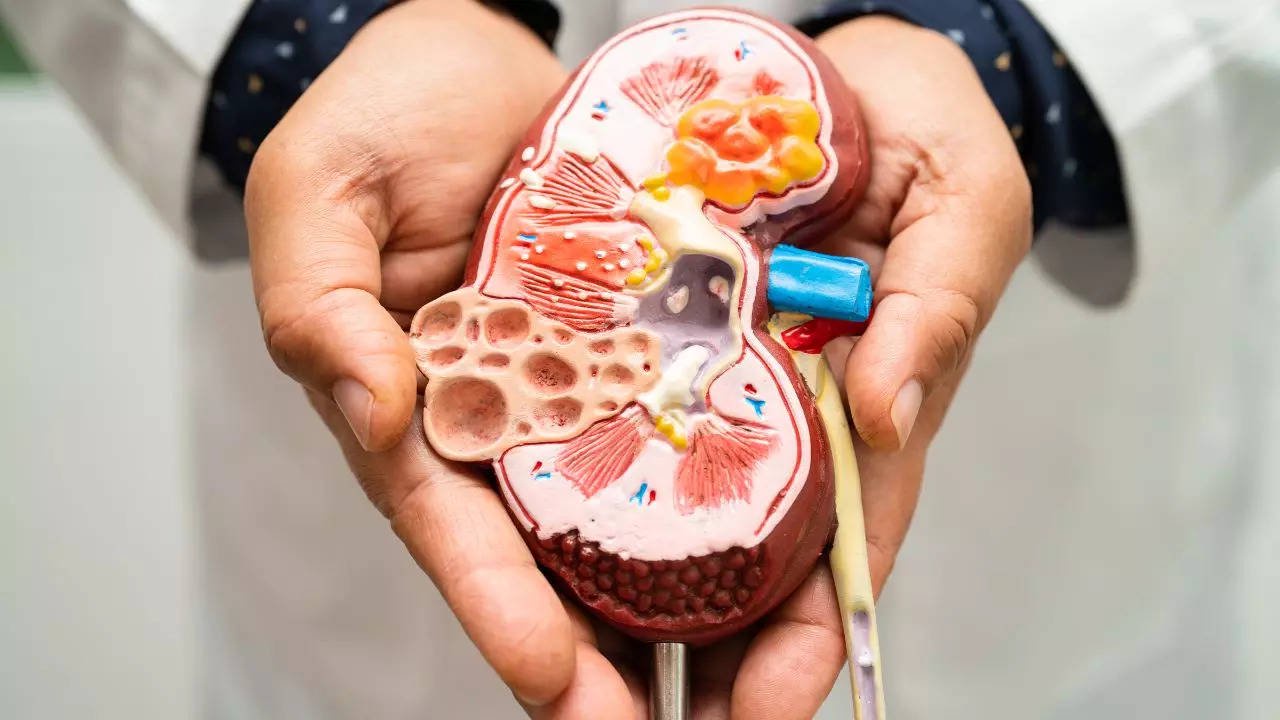 Chronic kidney disease