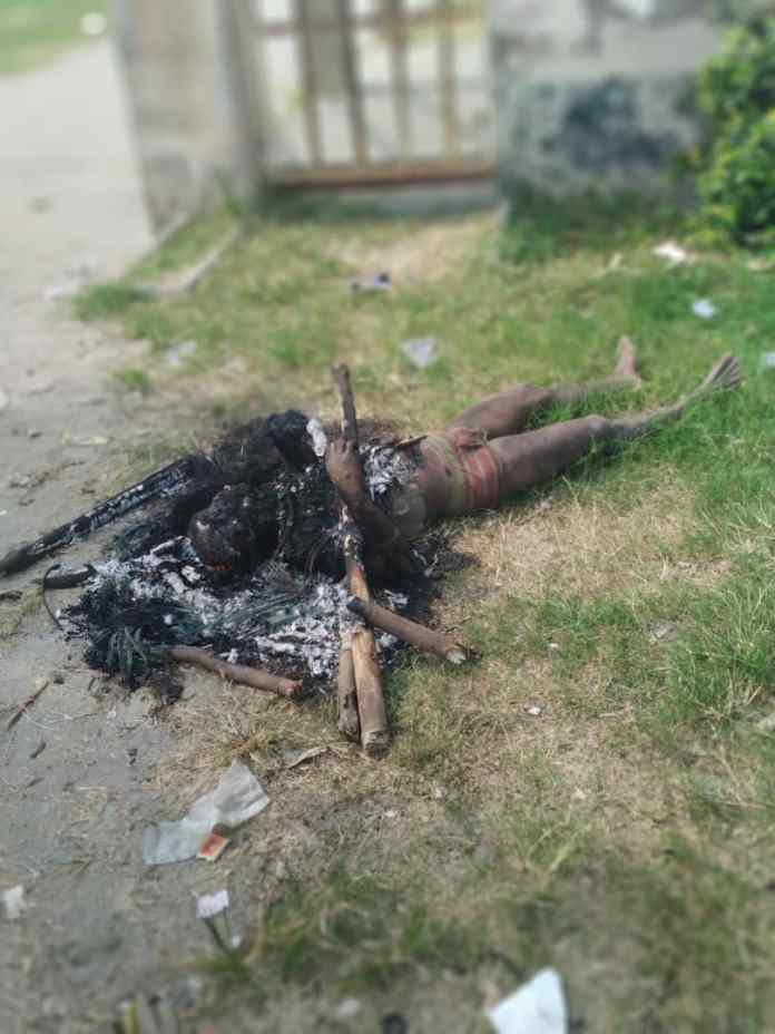 14786234 0c6b4d3e91224273adf7ac3c9e116be6 jpeg jpegba7331ead0965f90aace79e3ccca377b