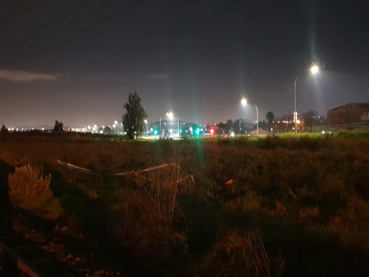 May be an image of grass, tree, road, twilight and sky