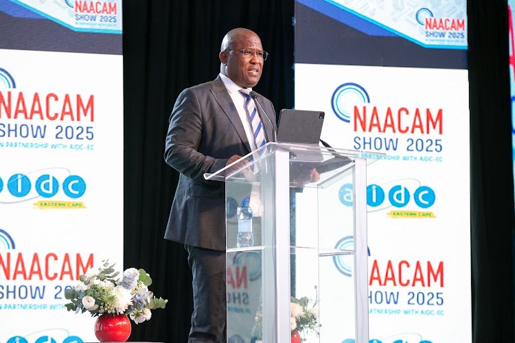 Eastern Cape premier Oscar Mabuyane spoke of positive developments at Eskom and Transnet.
