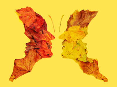 Do optical illusions tell us about our personality?