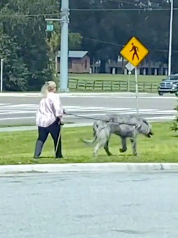 7f6df331bfa928f29e1ee66dbd462834?source=nlp&quality=hq&format=webp&resize=720