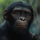 'Kingdom of the Planet of the Apes' swings us back to a familiar franchise