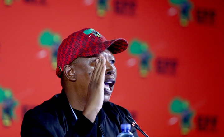 EFF leader Julius Malema says friendships do not influence his political decisions. File photo.