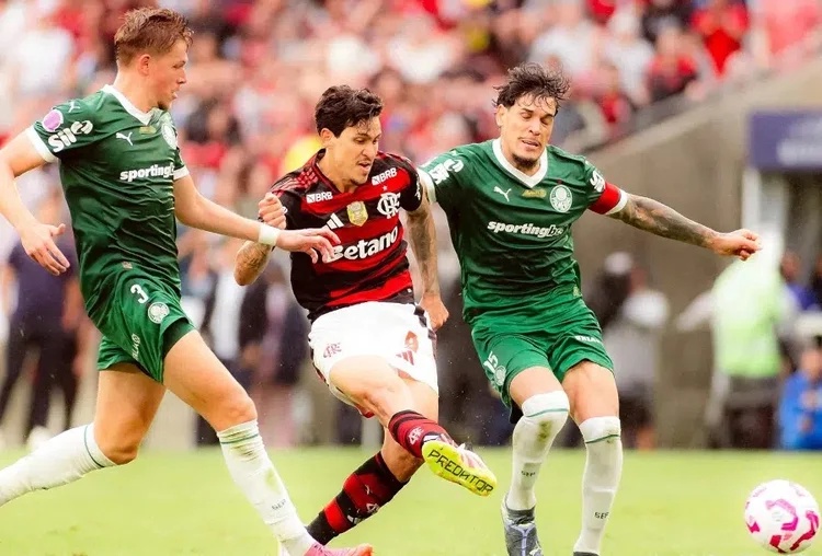 Palmeiras x Flamengo: duelo coloca frente a frente postulantes ao título do Brasileirão (Gilvan de Souza/Flamengo)