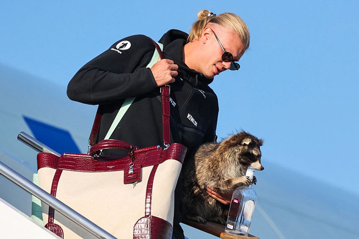 Erling Haaland returns from the World Cup with a stuffed raccoon