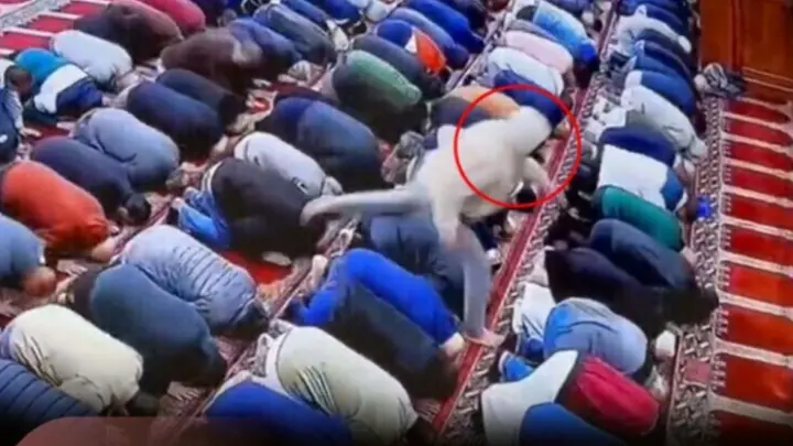 شاهد لحظة طعن إمام مسجد أثناء صلاة الفجر بأمريكا