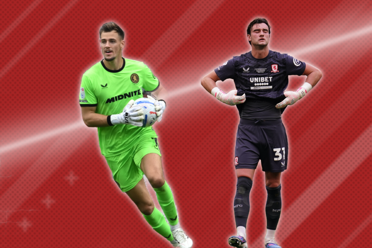 Radek Vitek joined Middlesbrough this summer and replaced Sol Brynn as first-choice goalkeeper