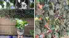 Create Your Own Secret Garden With A Faux Ivy Screen That Keeps Nosy Neighbors Out