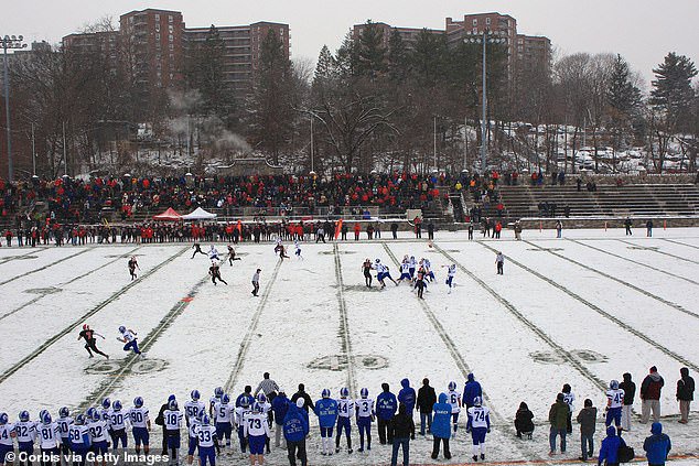 Panapada quit during a recent game at Stamford's Boyle Stadium (pictured in 2023)