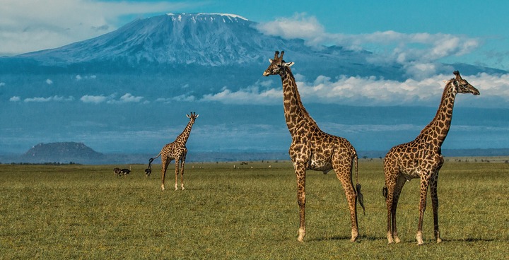 Amboseli National Park | Kenya Wildlife Safari Destinations | Kenya Tours