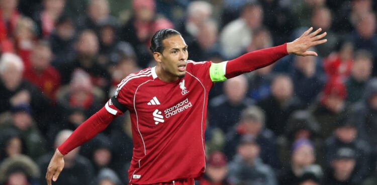 Virgil Van Dijk (Liverpool)