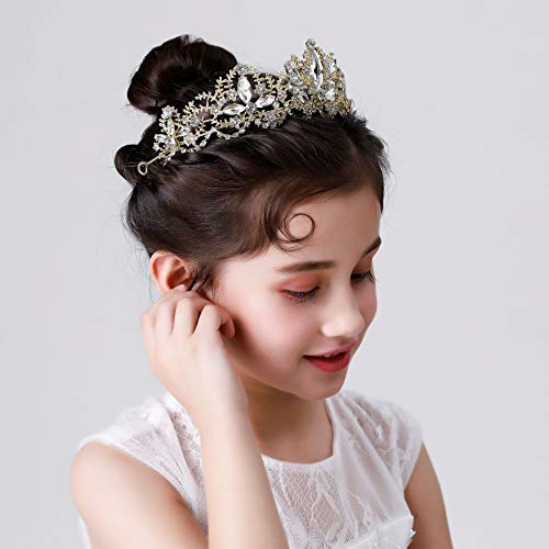 Exacoo Gold Tiara Wedding Tiaras and Crowns for Women,Rhinestone Queen Tiara for Women Princess Crown Birthday Tiara Headbands for Wedding Prom Bridal Party Halloween Costume Christmas Gifts | Pricepulse