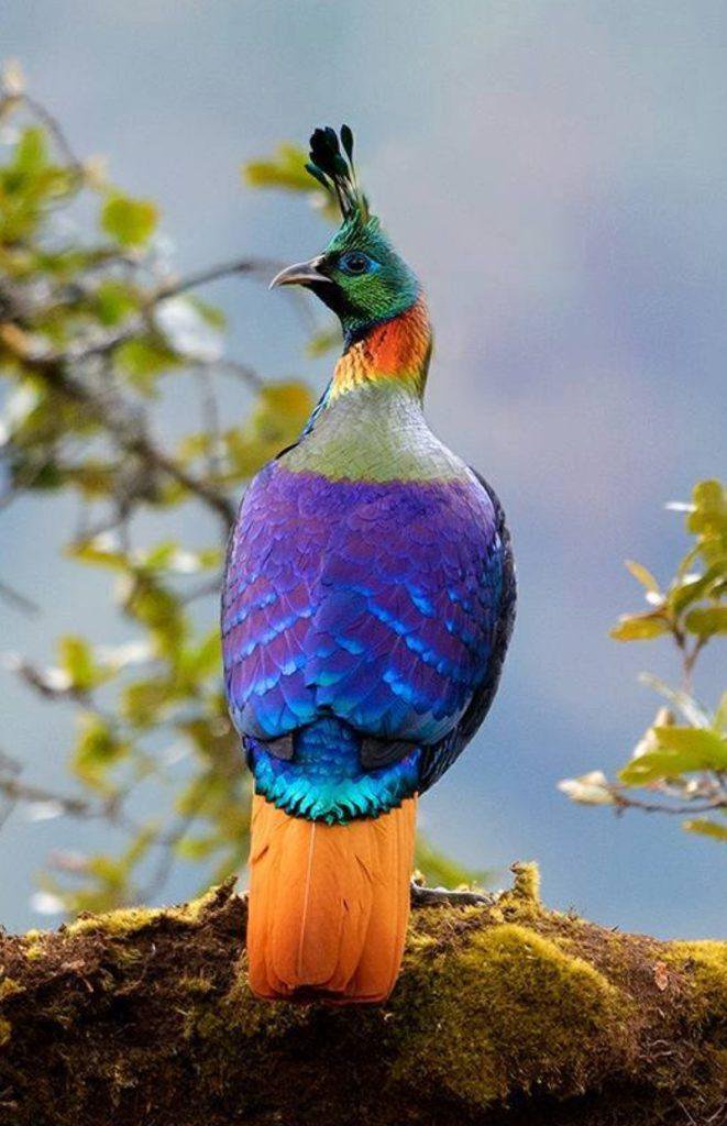 839a9510e81910a9a6806c44a4a5903a?source=nlp&quality=hq&format=webp&resize=720