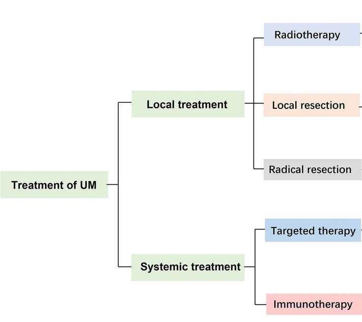 The various therapeutic modalities for the management of uveal melanoma reported in previous studies.