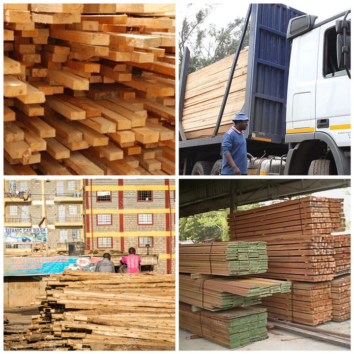 timber business plan pdf kenya