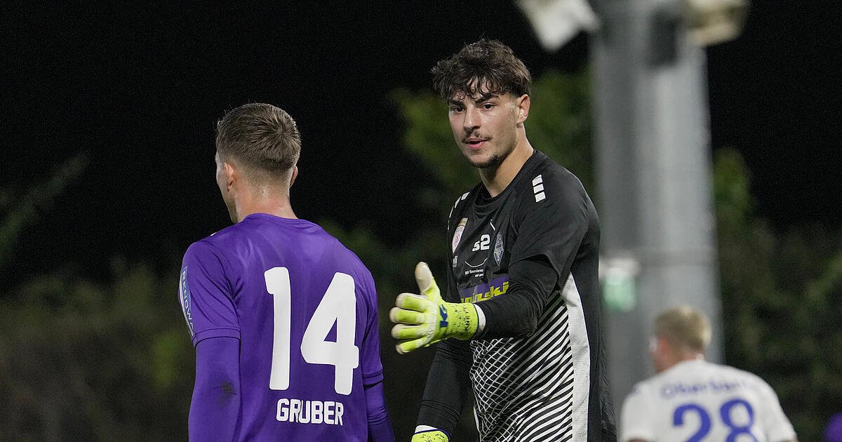 Austria salzburg gegen blau weiss linz metadaten