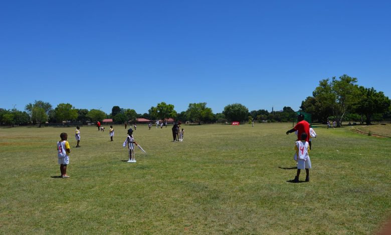 Young players in action during the mini cricket festival.