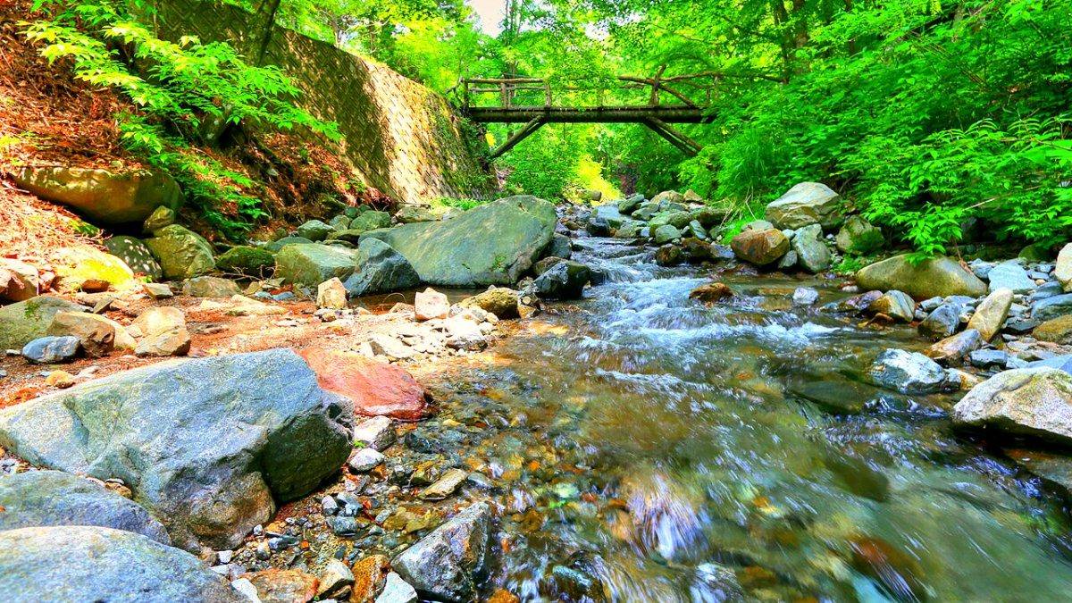 Sungai Doshi, satu tempat wisata alam sekitar Tokyo Jepang yang cocok dikunjungi saat musim panas.