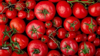 High levels of antioxidants, such as lycopene, in tomatoes, may contribute to improved heart health by reducing the risk of cardiovascular diseases. 
