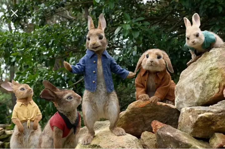 Interesting Cartoon Movies, Adults Could Watch