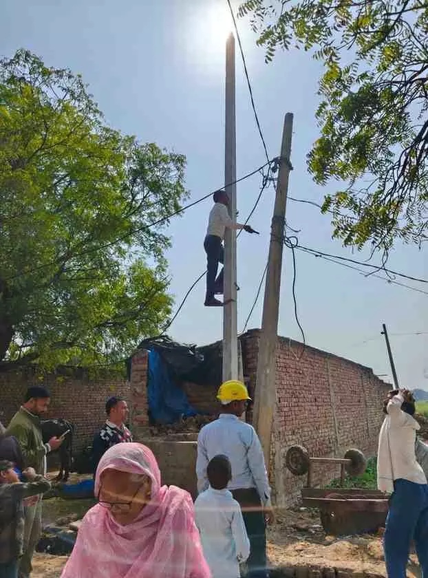 राजाखेड़ा में विद्युत विभाग की टीम द्वारा बकाया वसूली और अवैध केबल हटाने की फील्ड कार्यवाही।