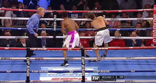 Simion seemed to pause in mid-air after taking the knockout punch from Stevenson