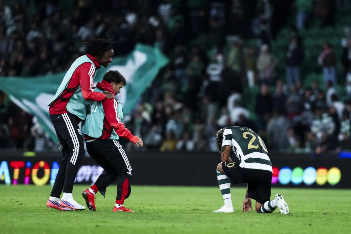 Maxi Araújo