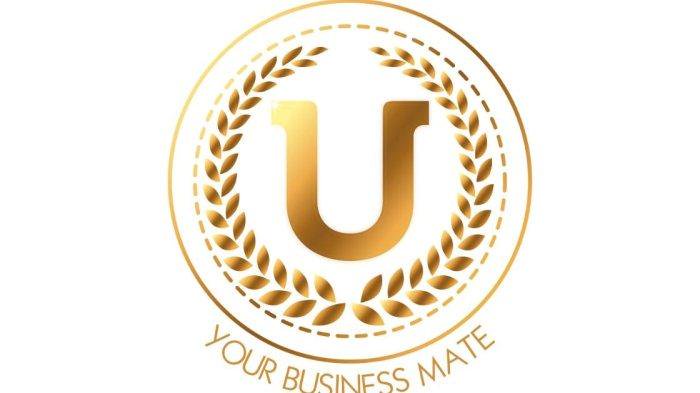 Jadi Kunci Visibilitas Situs Web, Undercover.co.id Tawarkan Layanan SEO Berstandar Internasional