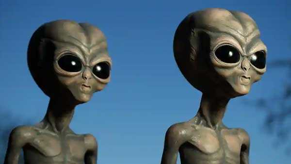 ऑनलाइन प्लेटफॉर्म तैयार