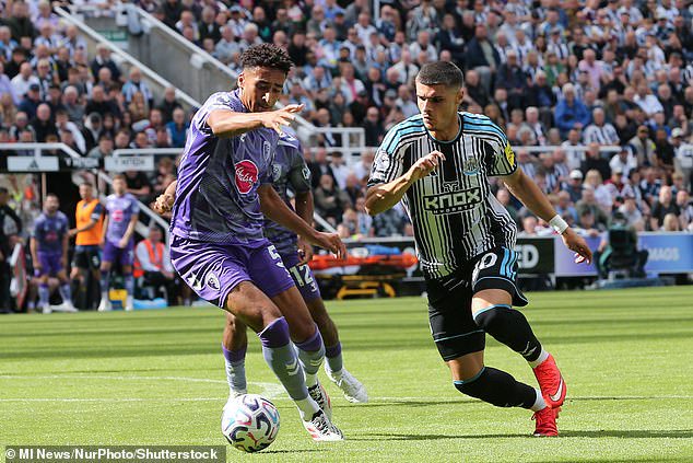 With the likes of Matias Fernandez-Pardo (right) at the club there is a feeling Newcastle do not need to go and buy another striker