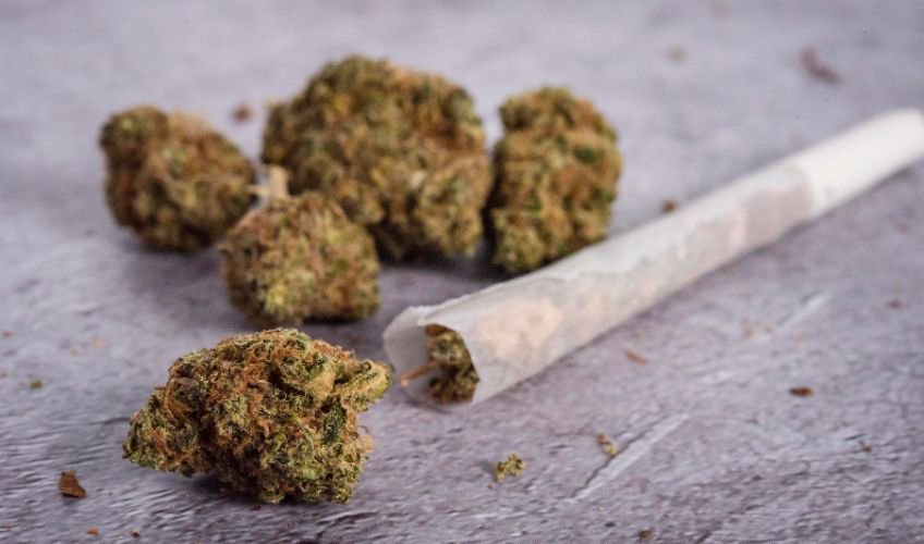 What happens if you smoke weed stems
