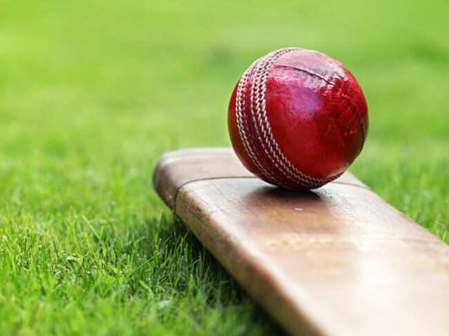 cricket-pic.jpg