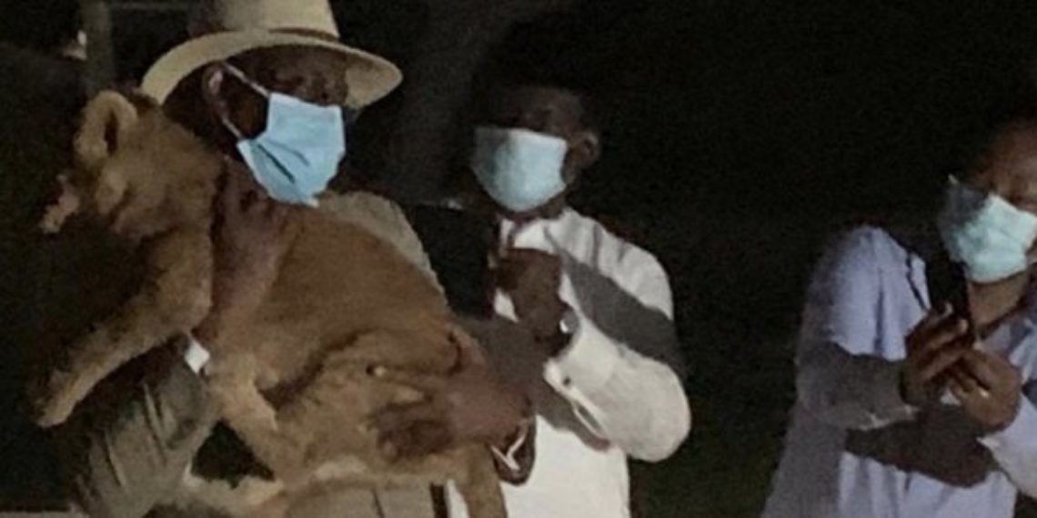 [Image du jour] Quand Macky porte un lionceau sur ses épaules