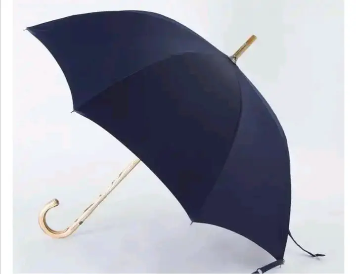 Check Most Expensive Umbrellas World. That Worth More Than Brand Series Sedan
