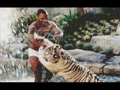 Mike Tyson fights a gorilla to the Death