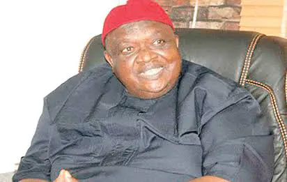 Insecurity: You can’t win this war, Iwuanyanwu tells FG